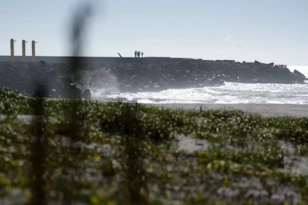 Fukushima water: Government urged to ensure imported food safe