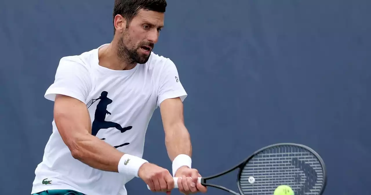 Ranking ATP: Djokovic a nada de sacarle el #1 a Alcaraz, Fran Cerúndolo Top 20 y el subidón de Seba Báez