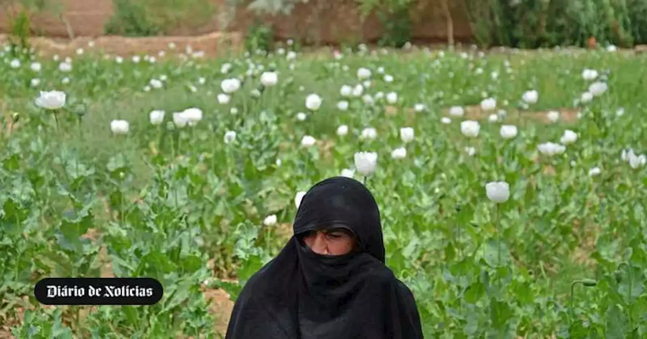 Talibãs vetam acesso de mulheres a parque nacional no Afeganistão