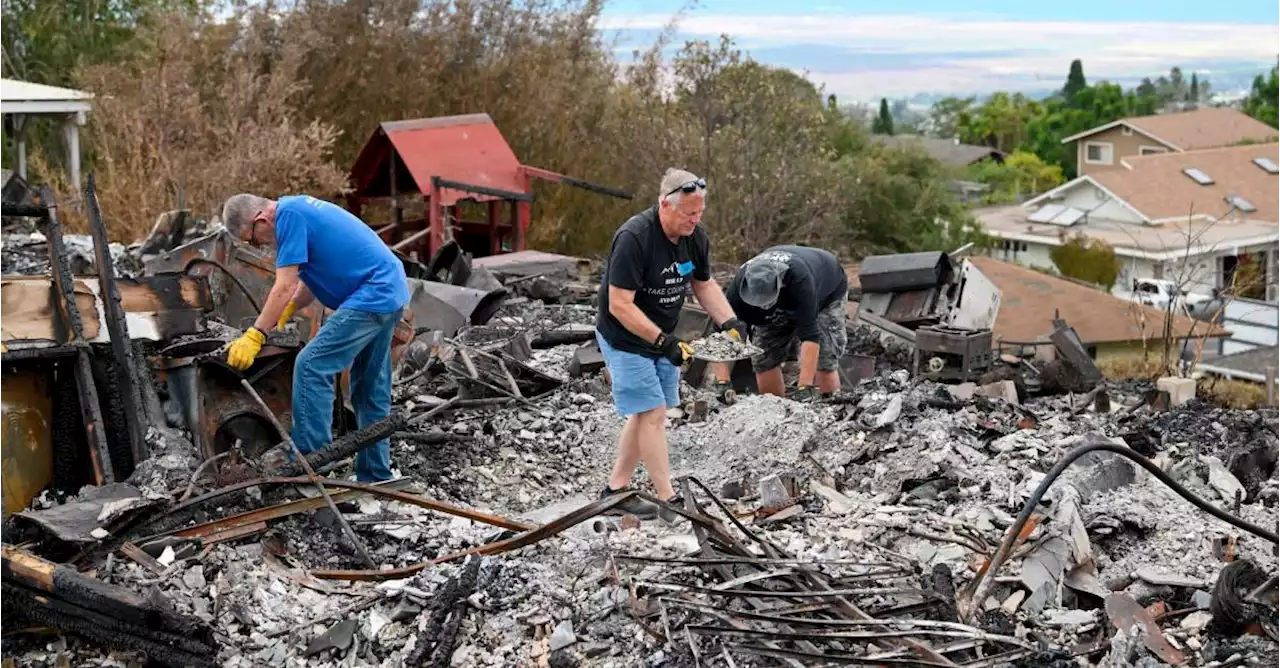 El dolor de ayudar a buscar a los desaparecidos en la isla de Hawái