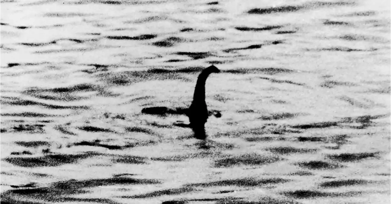 En Escocia reactivan la búsqueda del monstruo del lago Ness