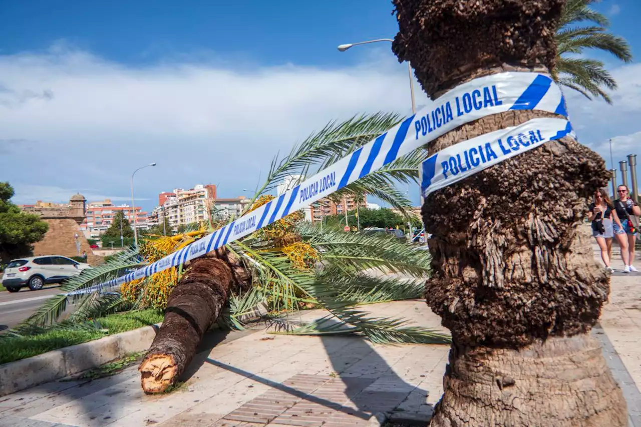 Palma mide los “cuantiosos daños” tras un temporal que provocó cientos de intervenciones policiales