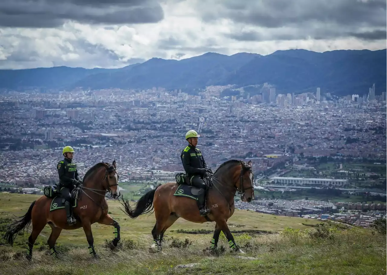 Presidente sancionó ley que prohíbe el uso de animales en manifestaciones