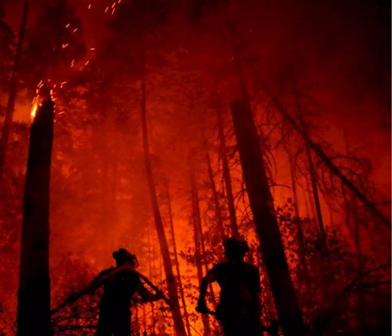 Canadá: bosques se han convertido en un “infierno” por cambios climáticos