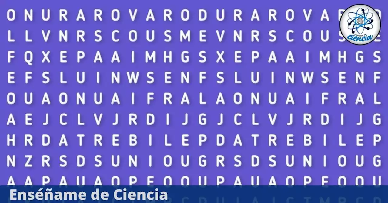 Acertijo visual de la palabra “HISTORIA” ¿Podrás encontrarla en la sopa de letras? Solo el 10% lo ha logrado