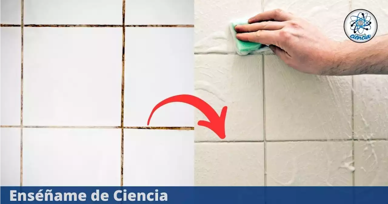 El trucazo para blanquear las juntas de los azulejos rápidamente y sin mucho esfuerzo