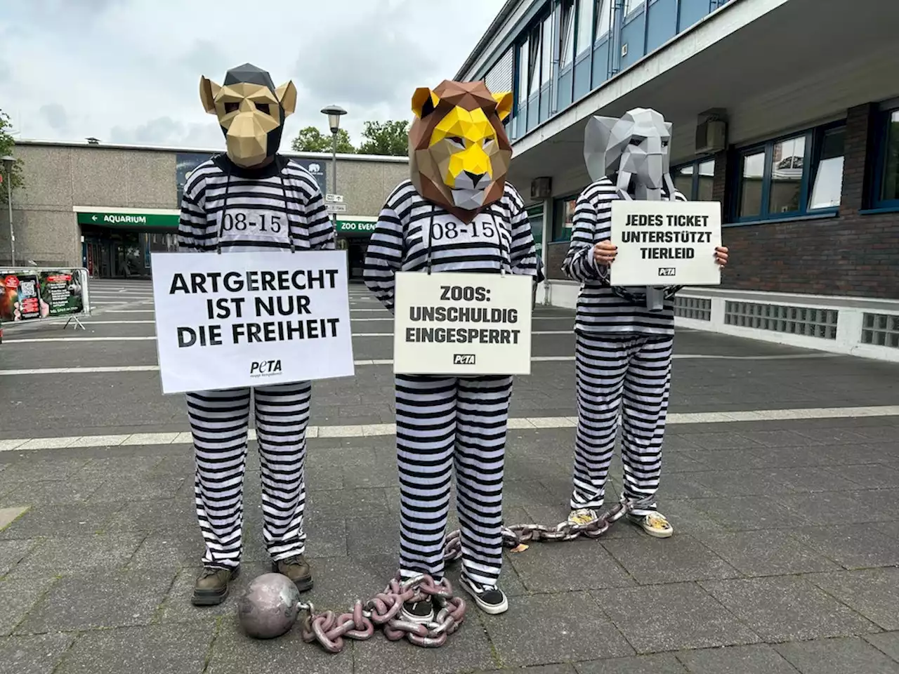 Protest in Köln: Masken-Demo vor dem Zoo sorgt für Aufsehen