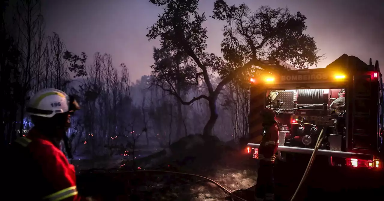 Incêndios: mais de 100 bombeiros combatem fogo no concelho de Sintra