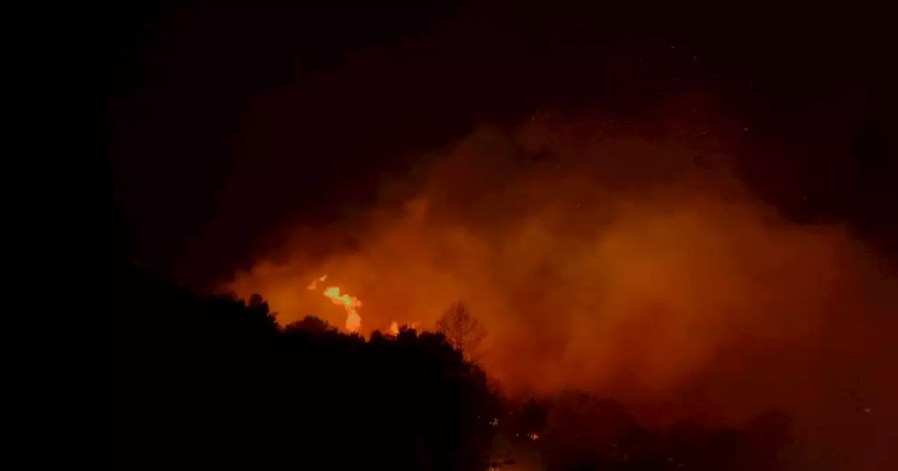 Notte di incendi in Sicilia: le fiamme sono arrivate vicino alle case e lungo la A29 nel Palermitano (video)