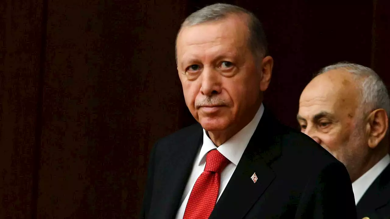 Turkish President Tayyip Erdogan plans to visit Russia to discuss collapsed Ukrainian grain deal