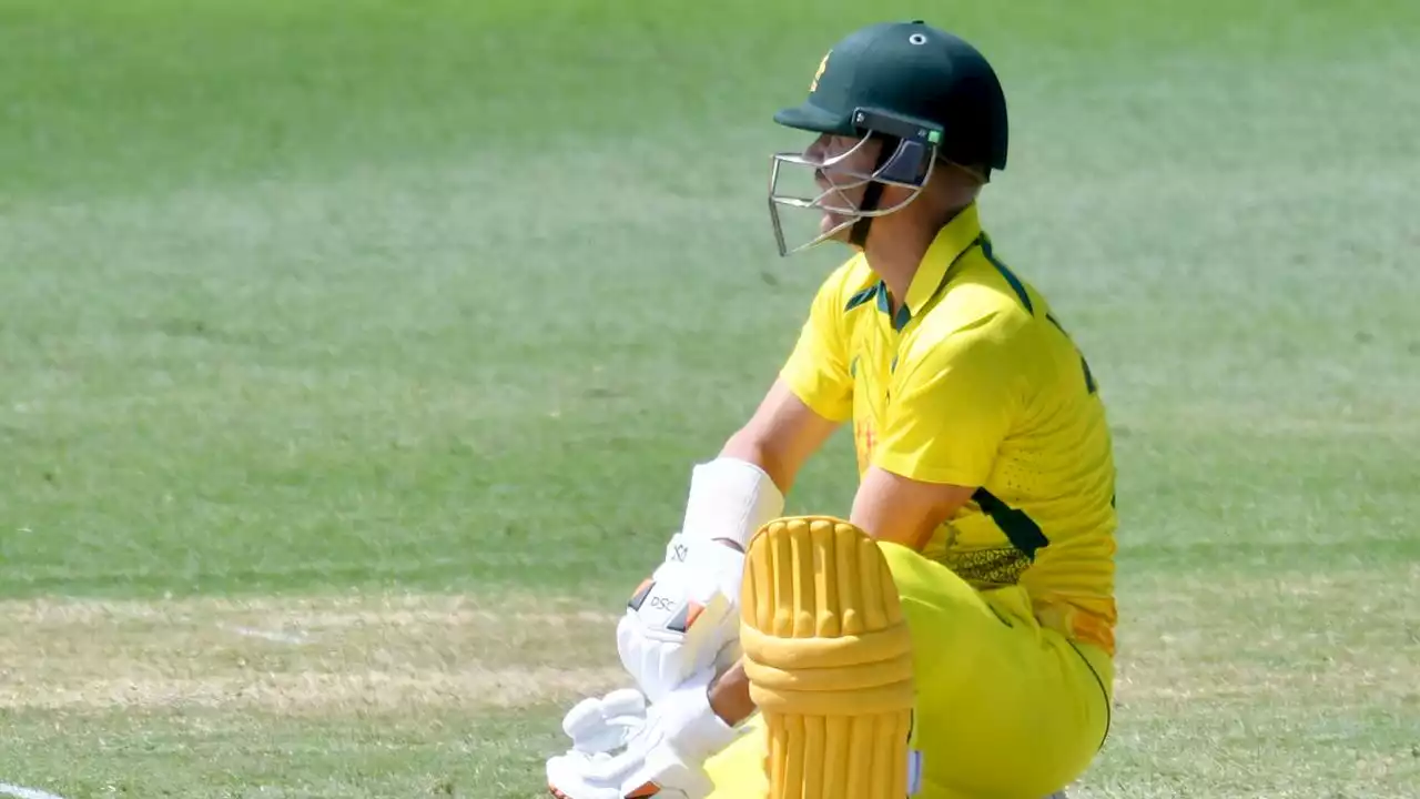 ‘Something I’ve heard’: Paine’s reveal over surprise Warner role as Aussies launch WC campaign