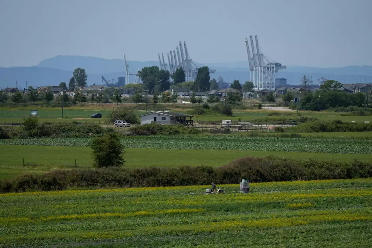 B.C.’s agriculture industry at forefront of climate change reality