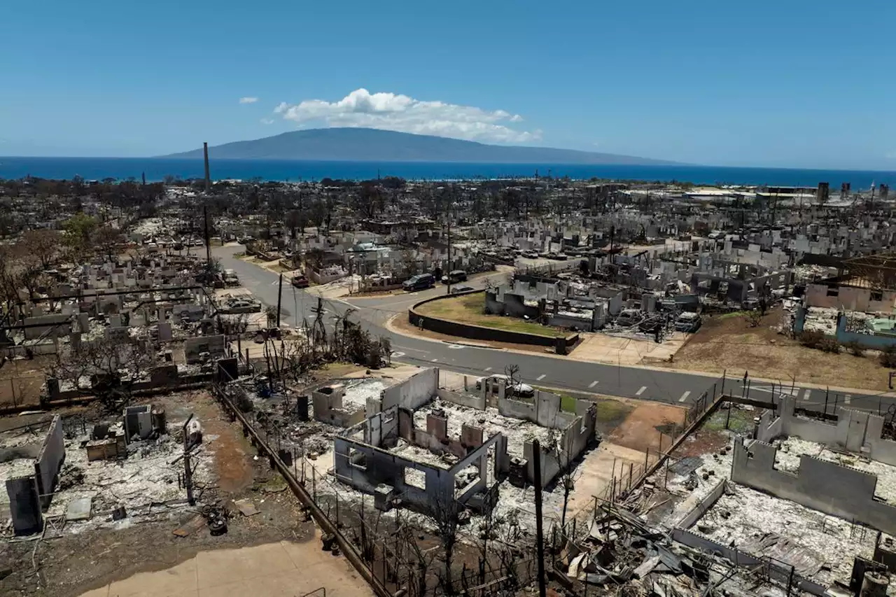 Hawaii power utility takes responsibility for first fire on Maui, but faults county firefighters