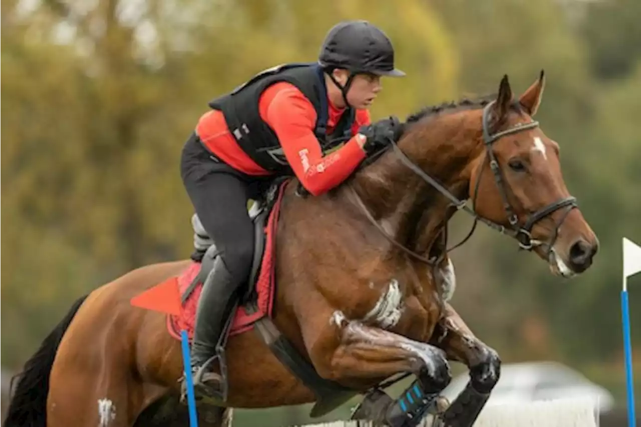 21-jarige debutant Robbe Verelst op EK eventing voor Landelijke Ruiters verrast iedereen door Europees goud te pakken in Zweden