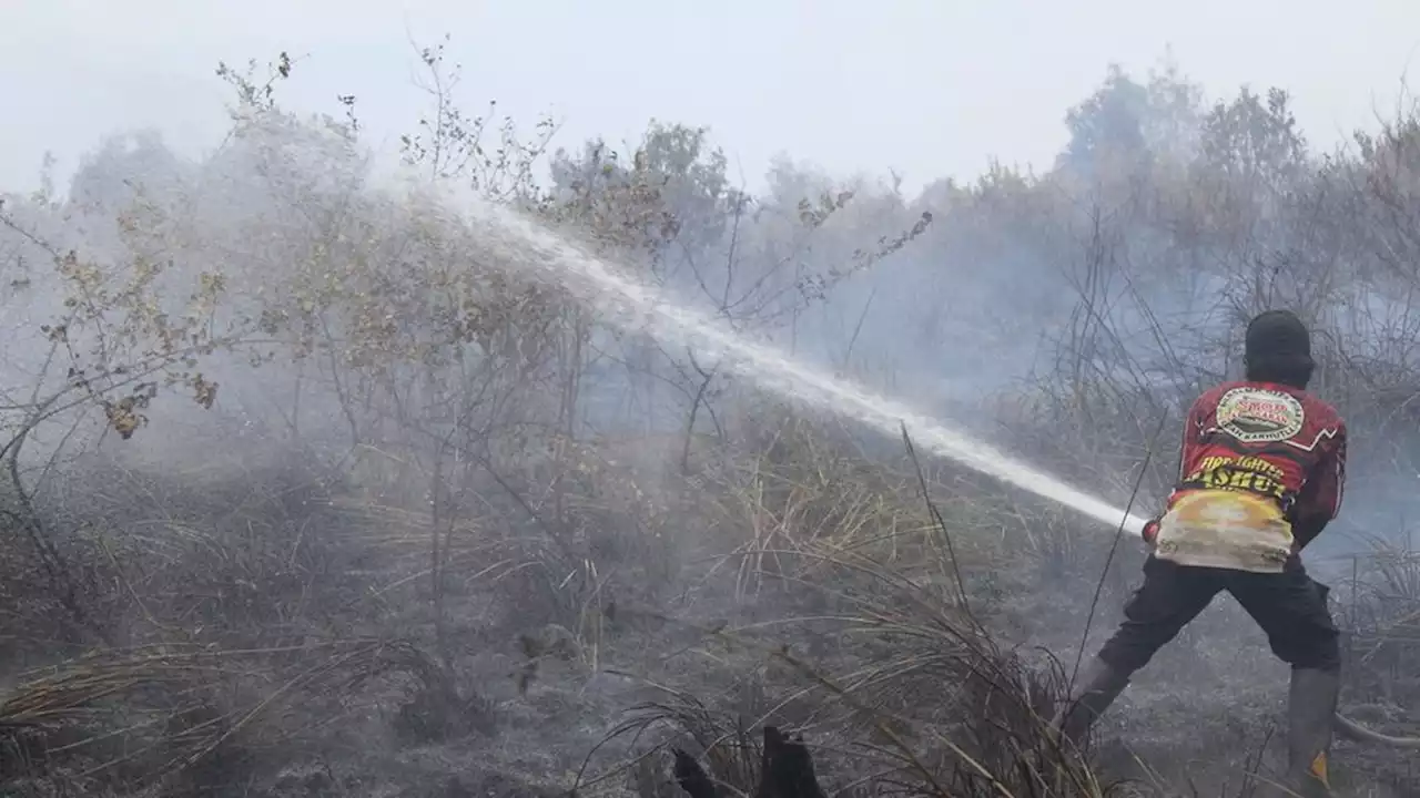 Air Quality in Central Kalimantan Starts to Deteriorate, ISPA Rates Increase
