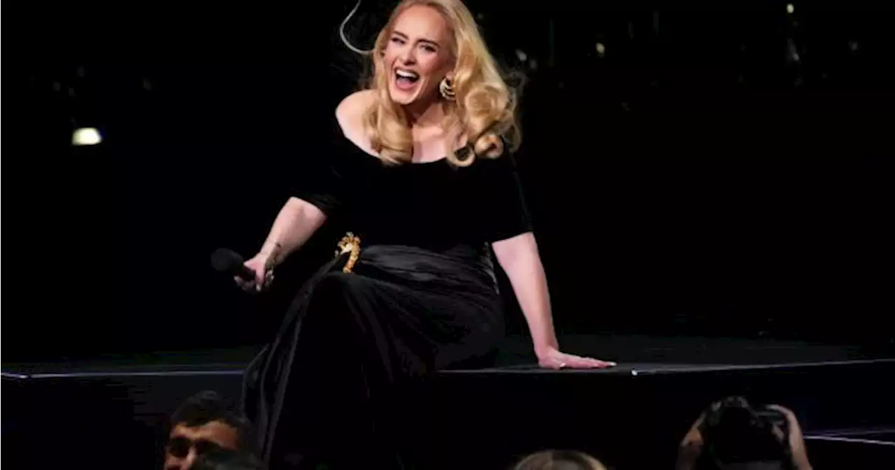 Adele praised for calling out security guard 'bothering' a fan during show