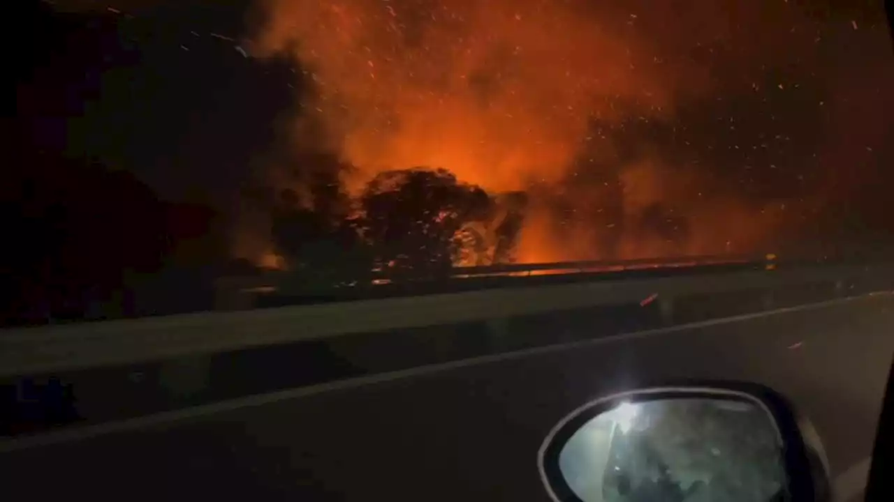 Fiamme vicino all'autostrada A29: notte di emergenza in Sicilia