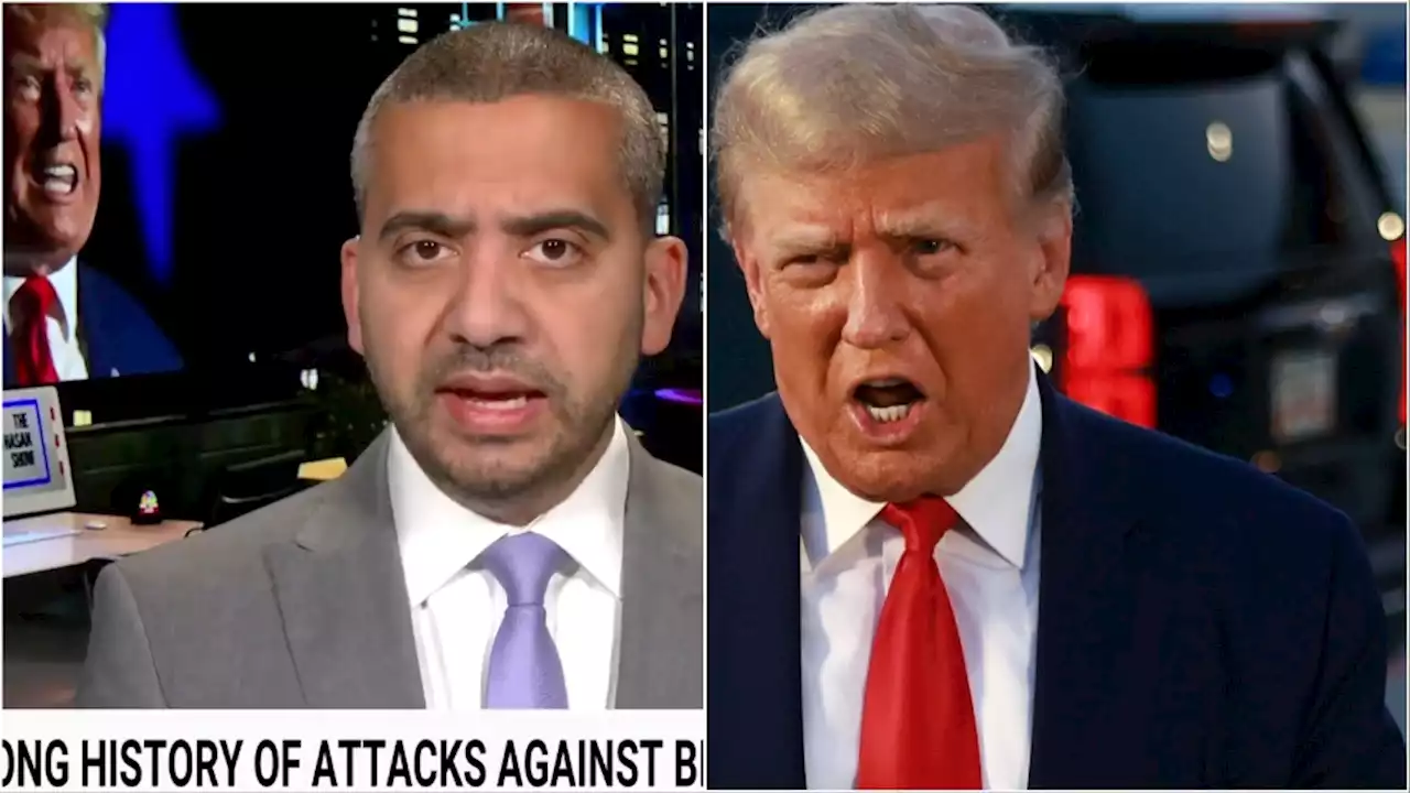 Mehdi Hasan Names What ‘Must Be Killing’ Trump About His Legal Battles