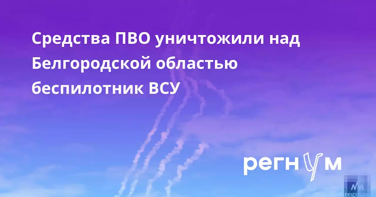 Средства ПВО уничтожили над Белгородской областью беспилотник ВСУ