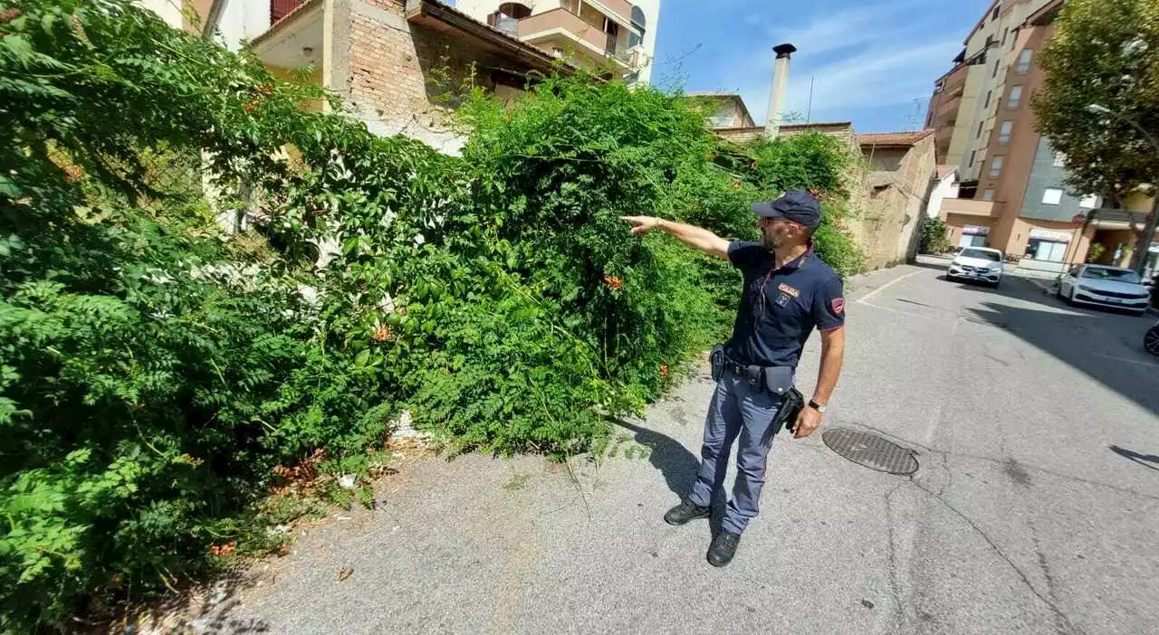 Terni, marocchino accoltellato in un parco a Borgo Rivo: l'ombra del racket della droga