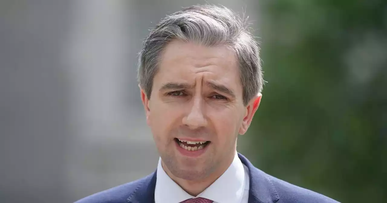 Simon Harris promises mental health supports for Leaving Cert class of 2023
