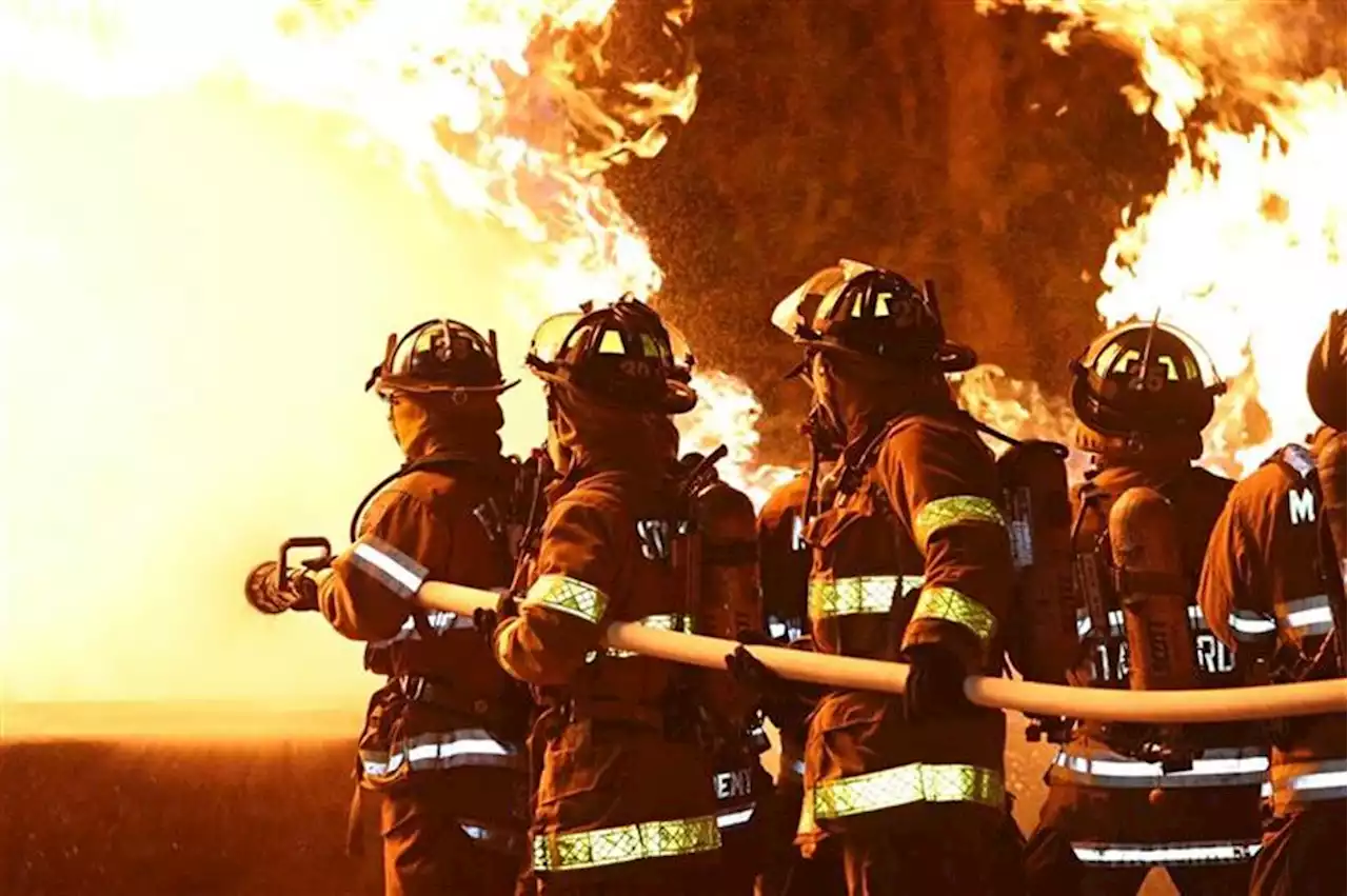 Incêndio deflagra numa zona de mato em Santo Tirso