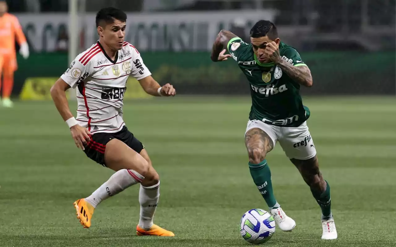 Destaque do Palmeiras, Dudu sofre lesão ligamentar e não joga mais em 2023 | Esporte