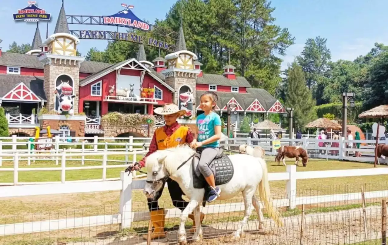 4 Alasan yang Bikin Dairyland Farm Theme Park Populer di Puncak Bogor