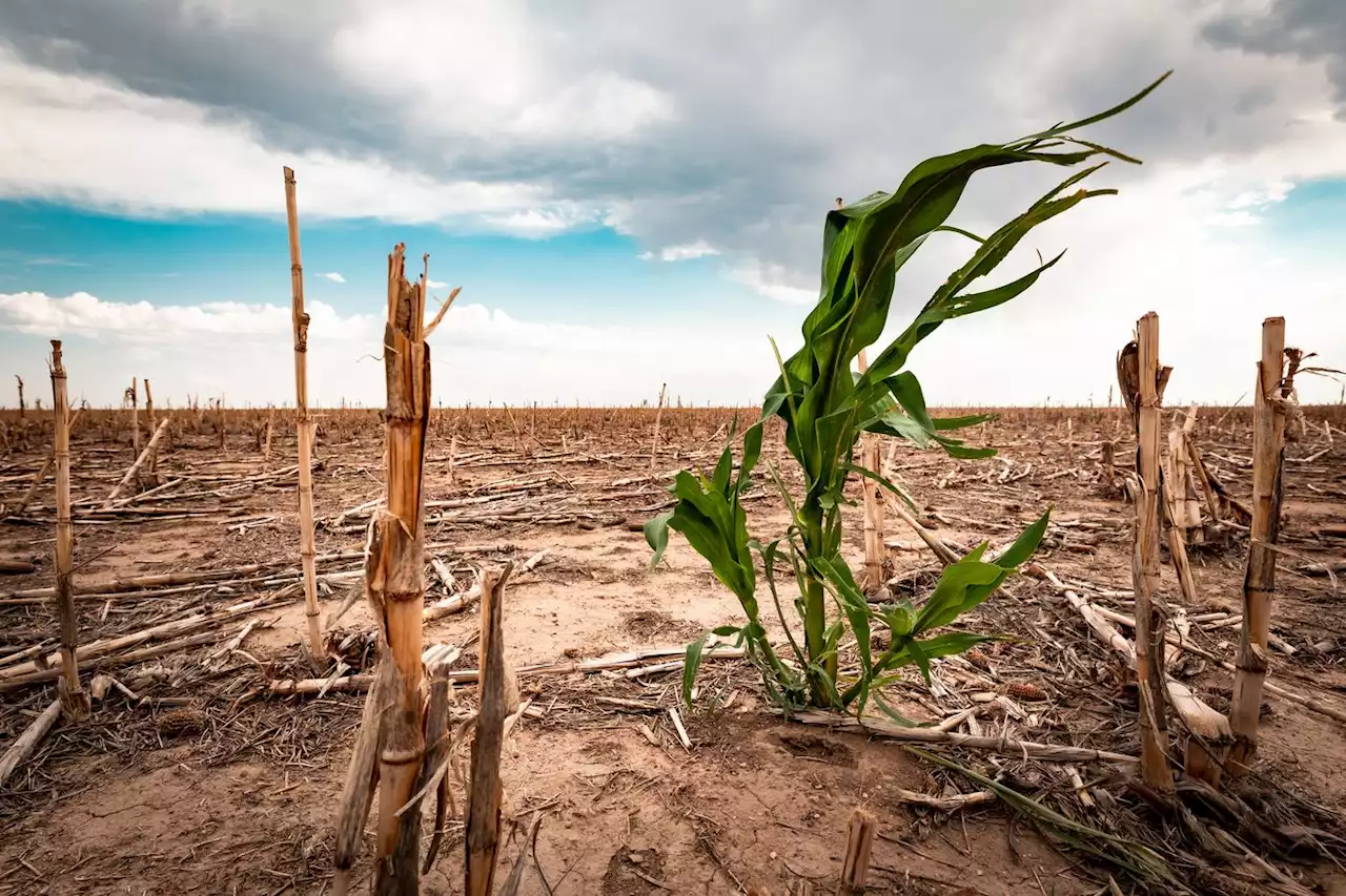 Face à la rupture écologique, une radicalité chrétienne ?