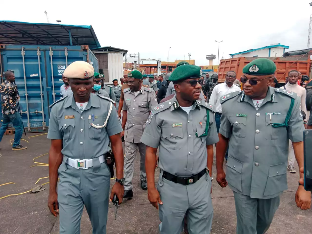 Customs Intercepts Donkey Meat, Indian Hemp Worth N94m In Kebbi