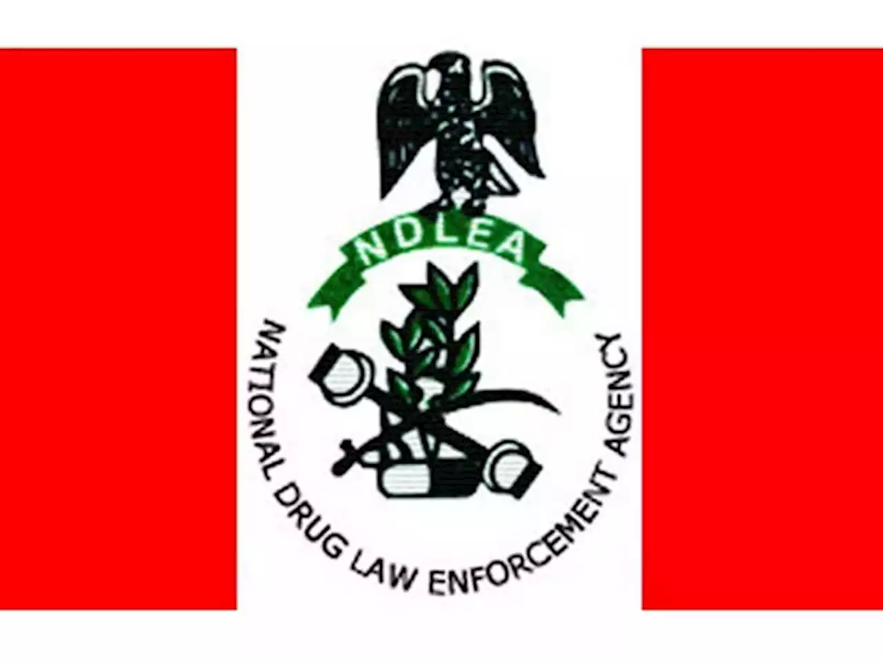 NDLEA Nabs South African With Illegal Drugs At Abuja Airport