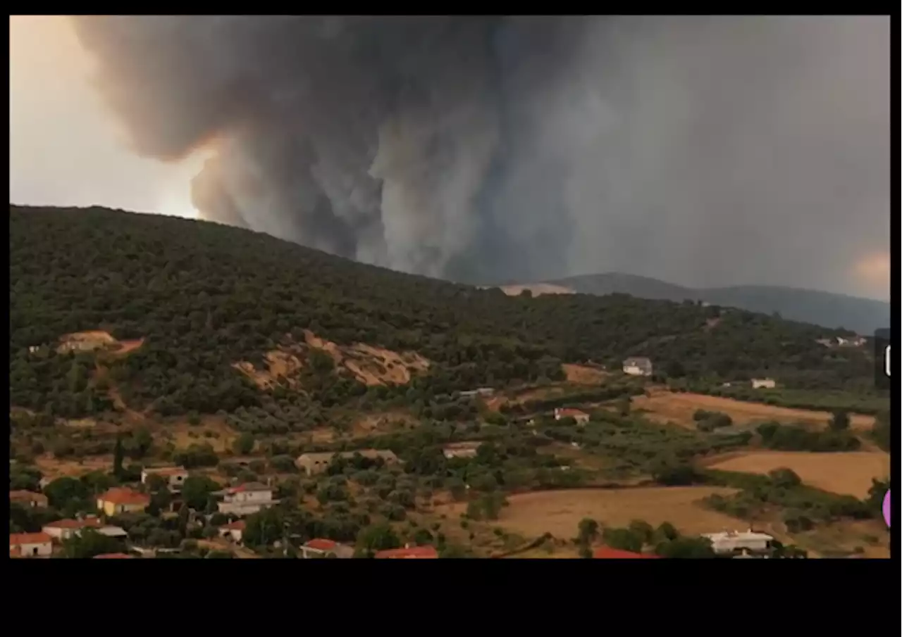 Authorities Arrest 79 Suspected Arsonists for Igniting Wildfires in Greece