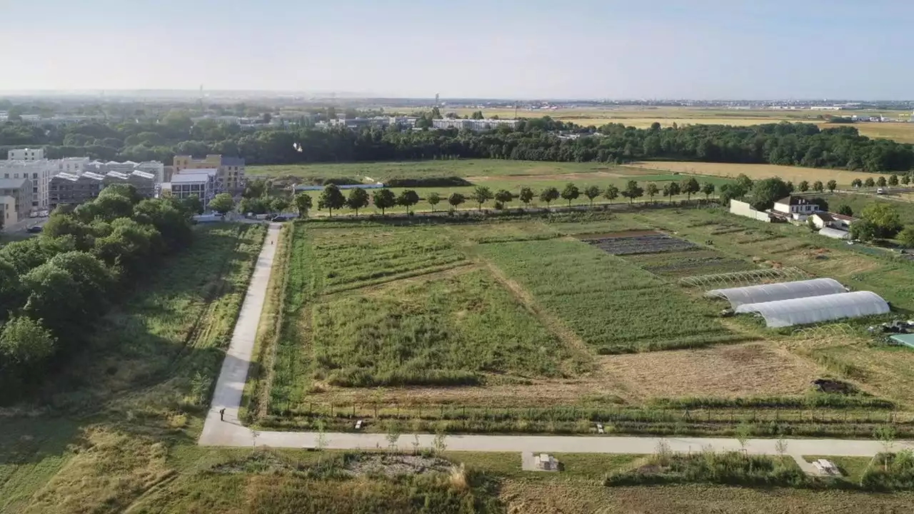 Terres agricoles : les lourds enjeux de la bataille en Ile-de-France