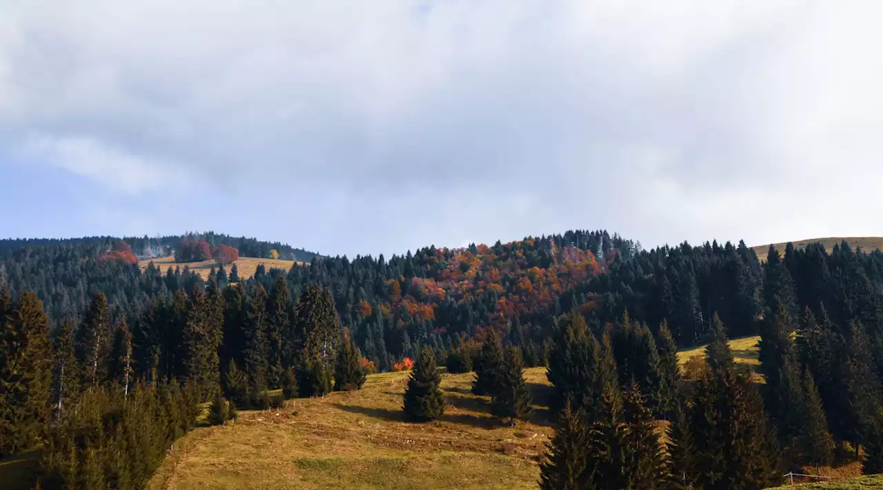 Altopiano di Asiago: un viaggio tra storia e natura