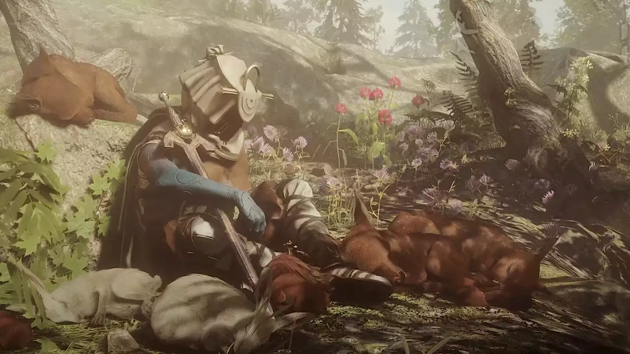 Neues MMO der Warframe-Macher erinnert an Elden Ring, zwingt euch langsam und bedacht zu kämpfen