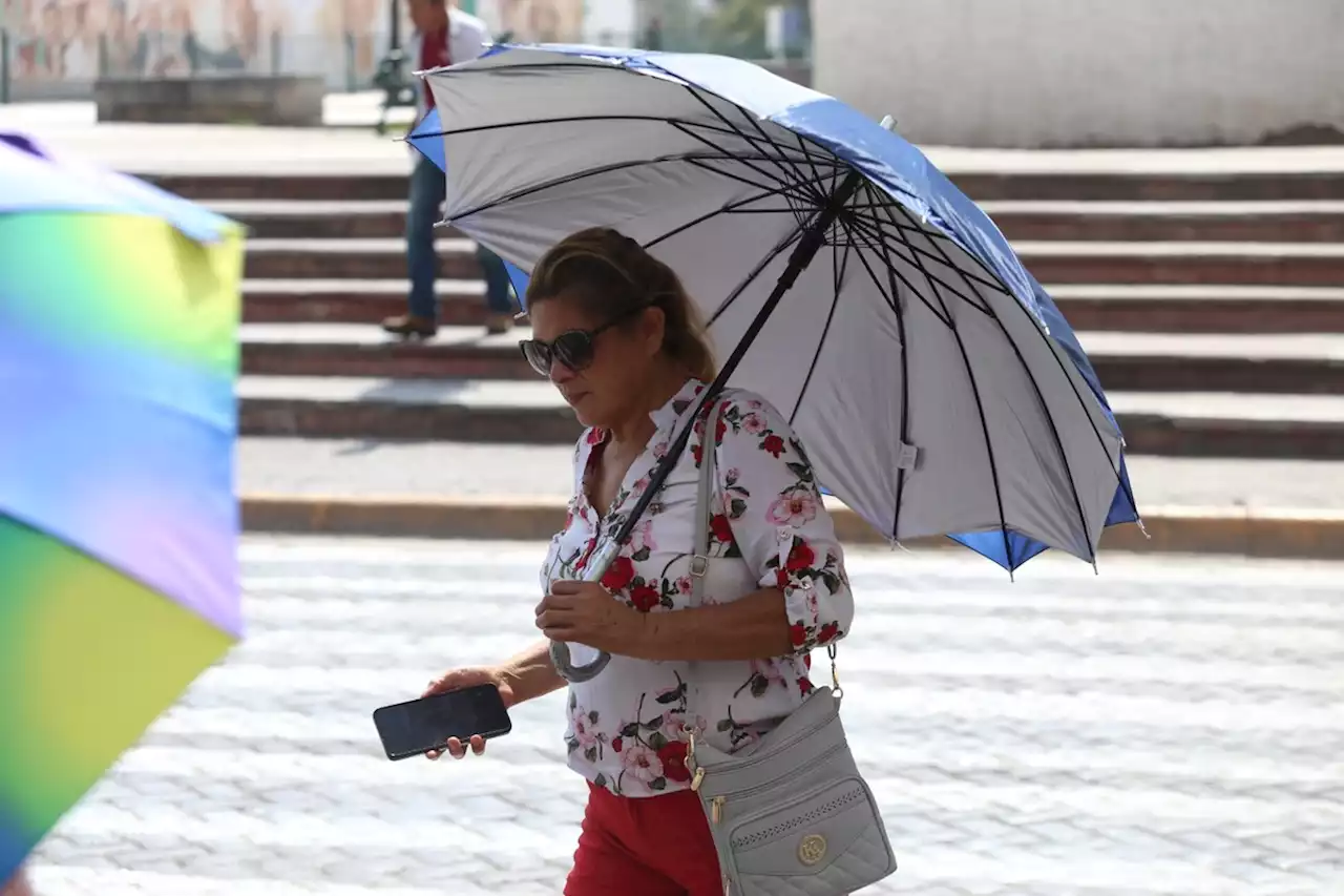 Clima Tamaulipas: Pronóstico de temperaturas hoy 28 de agosto 2023