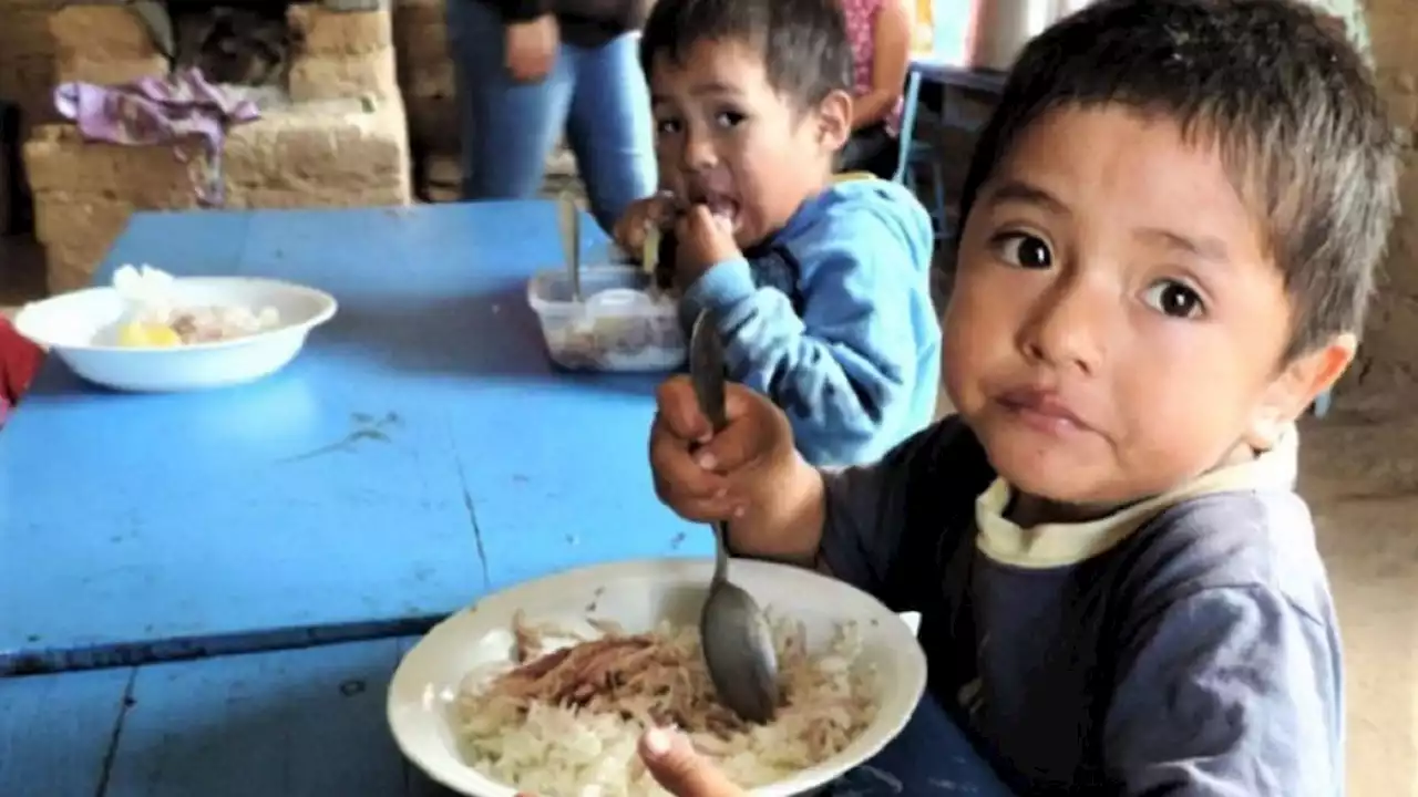 Alimentar Comunidad: quiénes pueden adherir y cómo funciona el beneficio