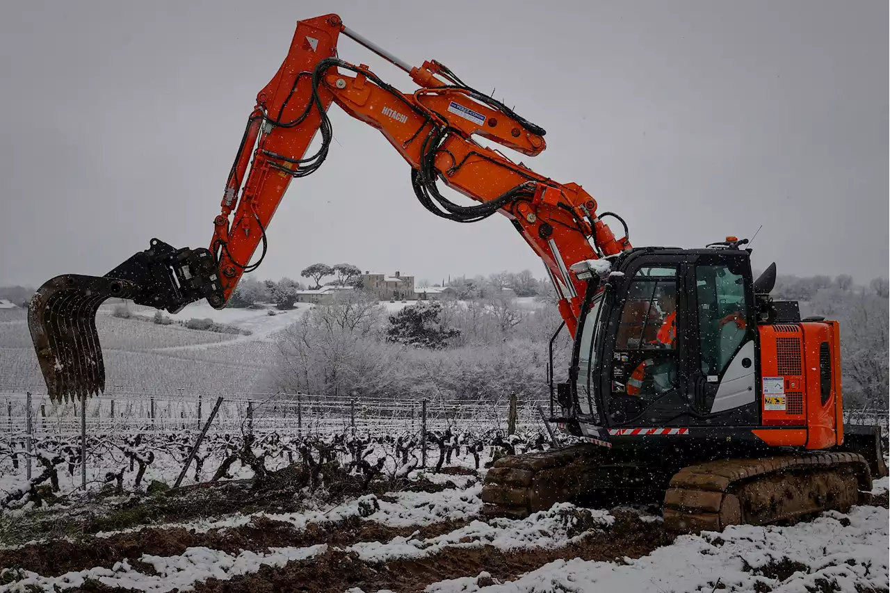 France pays winemakers to rip up vines as famous Bordeaux region faces uncertain future