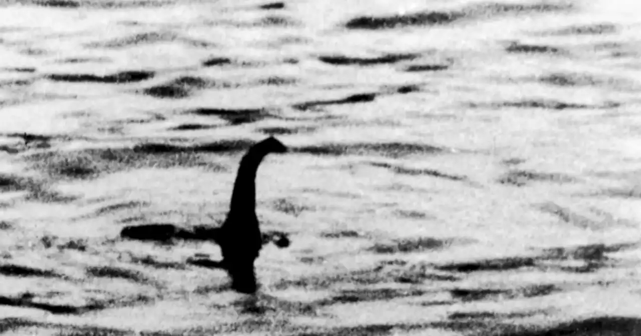 Loch Ness Monster hunters launch massive search to foster new interest