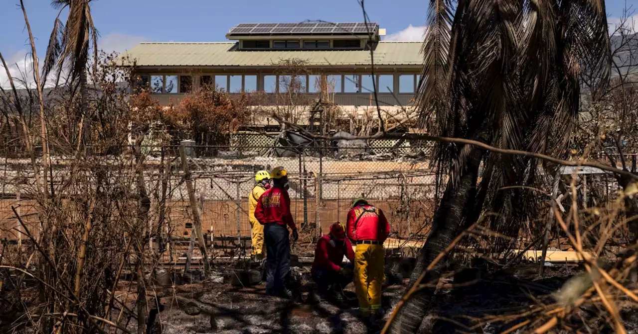 Hawaiian Electric says power lines were 'de-energized' hours before Maui wildfire