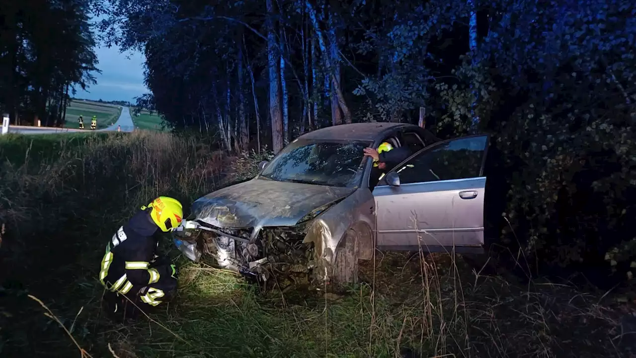 Mit Pkw frontal gegen Baum: 25-Jähriger aus Allentsteig verletzt