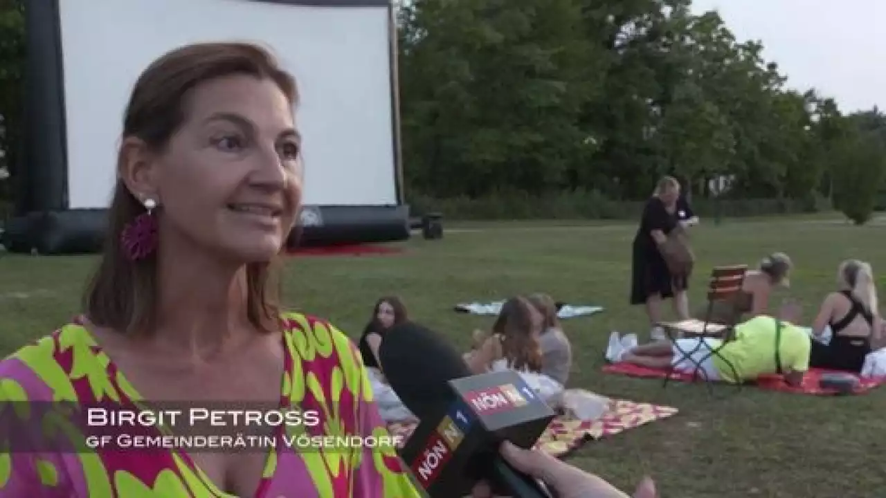 Sommerkino in Vösendorf