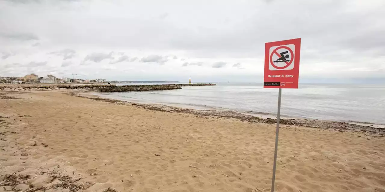 Heftiges Unwetter rollt über Mallorca - sogar Kreuzfahrtschiff reißt sich los