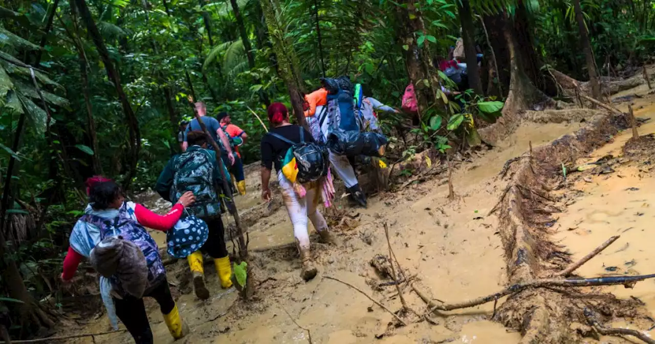 Tapón del Darién: reportan un incremento de 445% en niños intentando pasar por la ruta