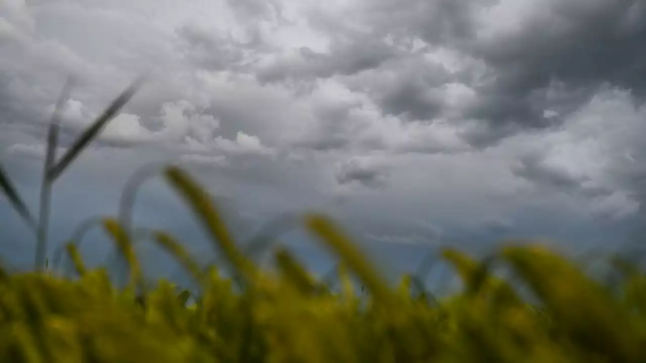 Kühles und wechselhaftes Wetter in Sachsen-Anhalt