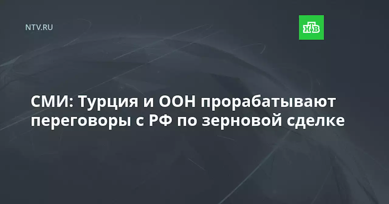 СМИ: Турция и ООН прорабатывают переговоры с РФ по зерновой сделке