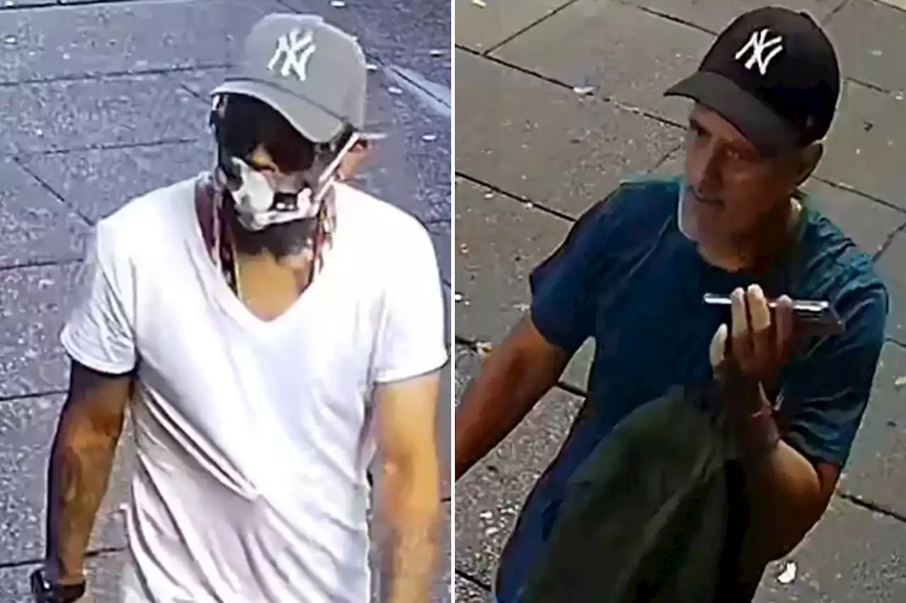 2 attackers on loose after fatally stabbing Bronx man in broad daylight