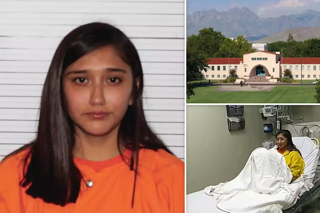 Nearly 14,000 sign petition to get accused baby killer Alexee Trevizo booted from college