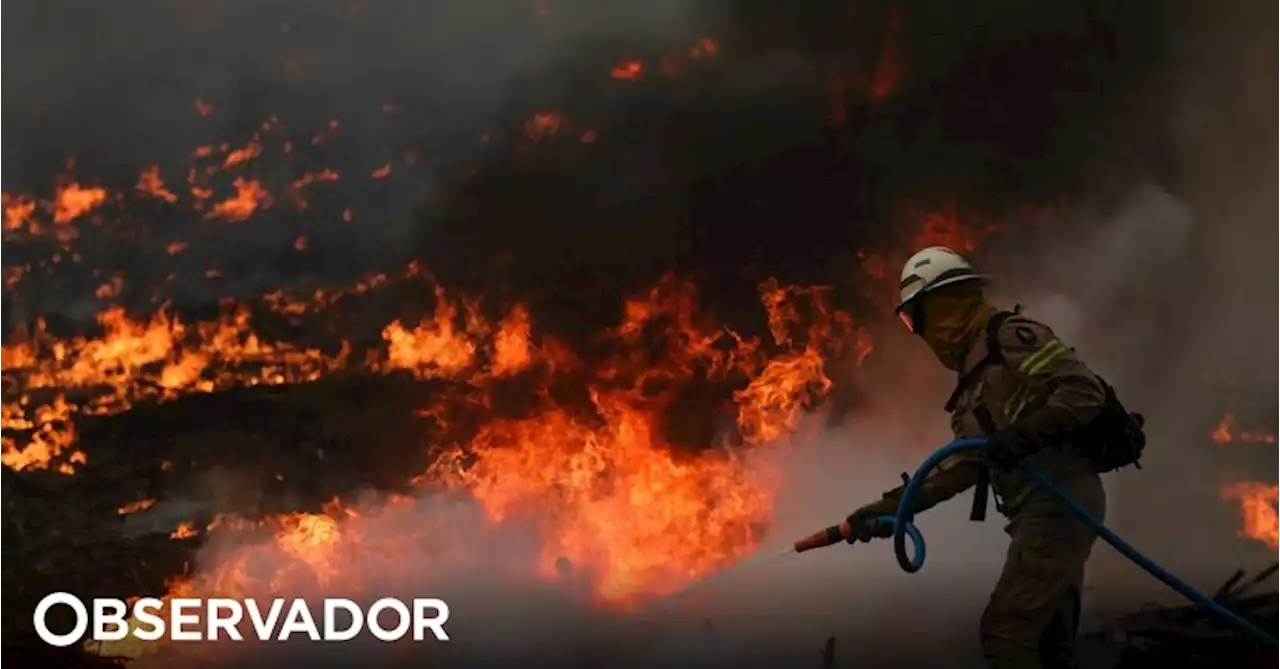 Incêndio em Santo Tirso combatido por mais de 100 operacionais e 3 meios aéreos