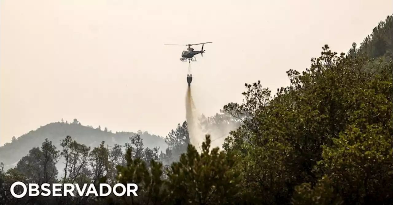 Trinta e oito concelhos de oito distritos em perigo máximo de incêndio